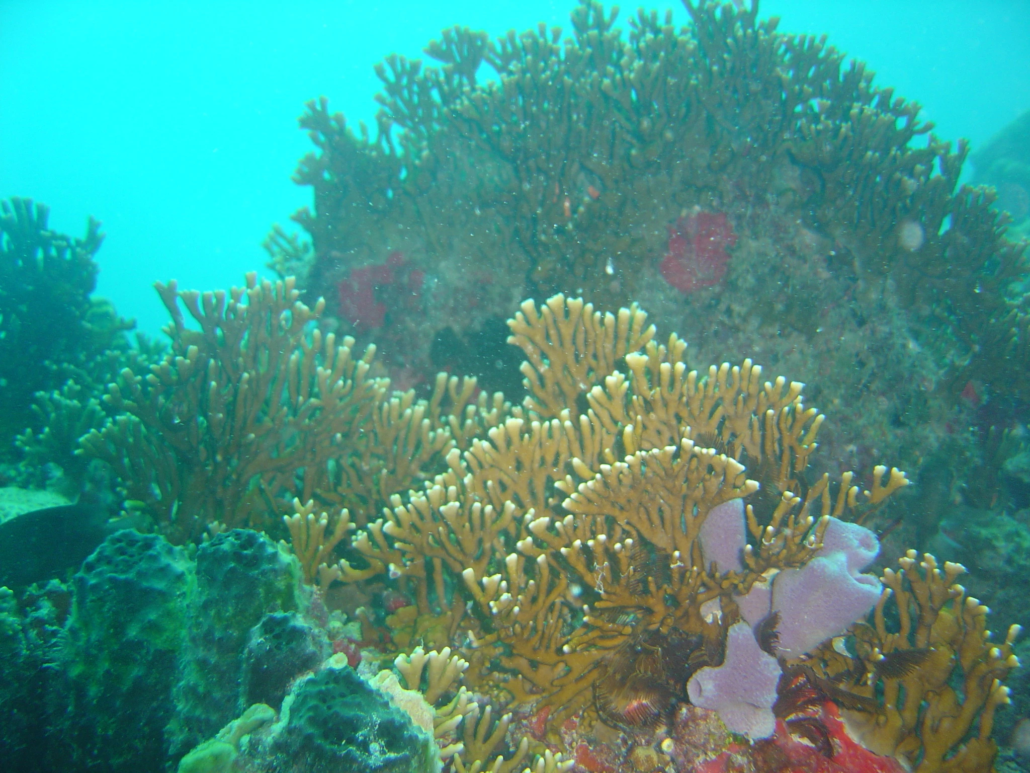 إعلان Hussien Alawad - وظائف